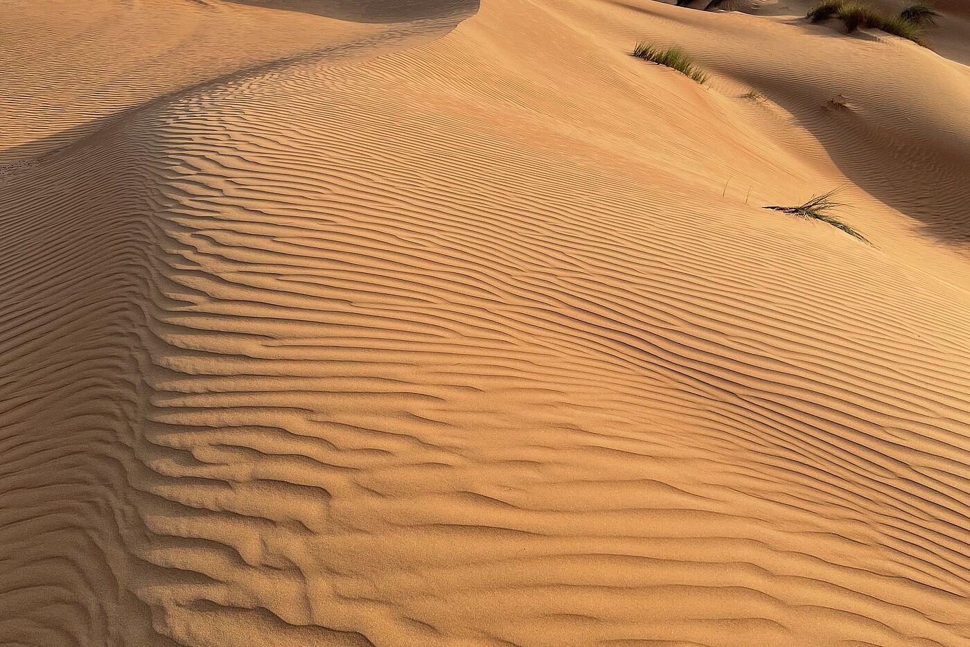 Wüstenlandschaft Oman